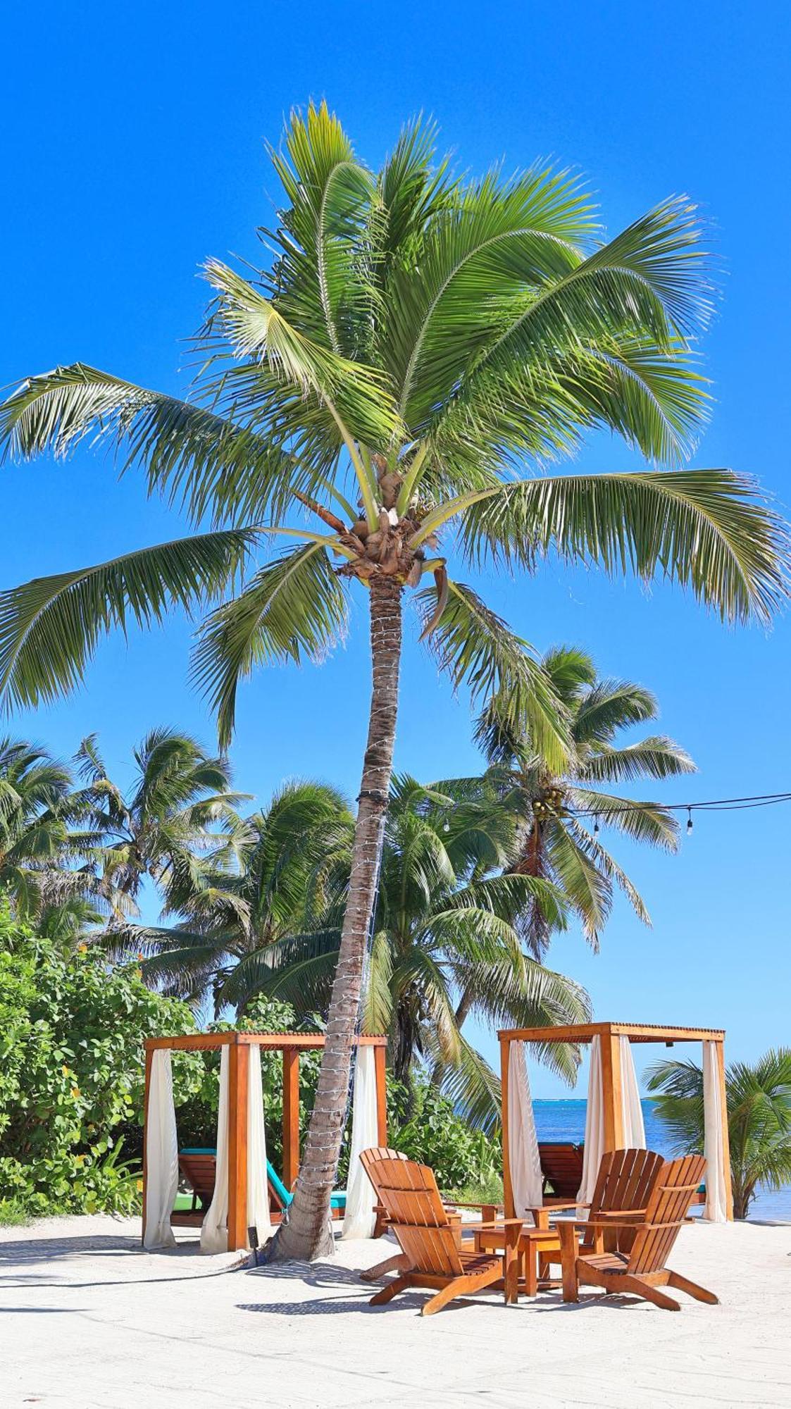 Mangata Villas Adults Only San Pedro  Exterior photo